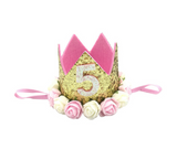 Birthday Party Pink/White Crown